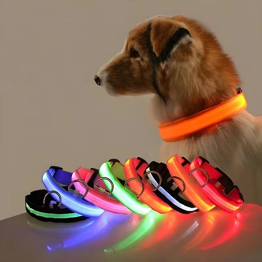 LED Dog Collar