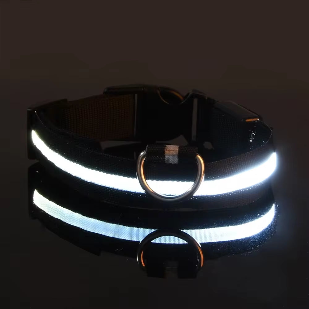 LED Dog Collar